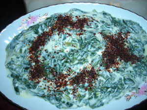 Yoğurtlu ıspanak