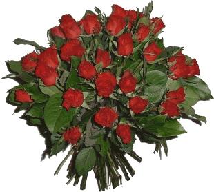 roses