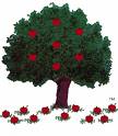 Apple Tree