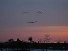 A Smile For Today