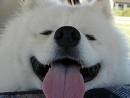 A Smile For Today