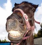 A Smile For Today