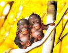 A Smile For Today