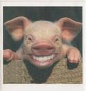 A Smile For Today