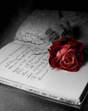 love u always