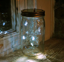 Fireflies