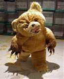 Mean Bear