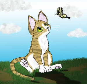 cat