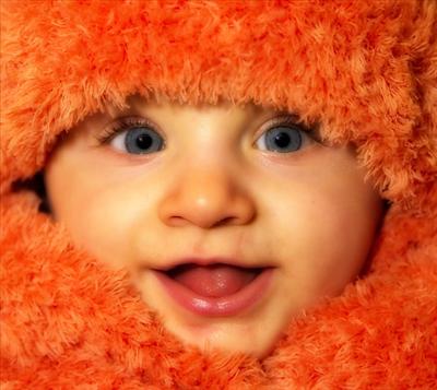 orangecutes