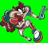 tazmania