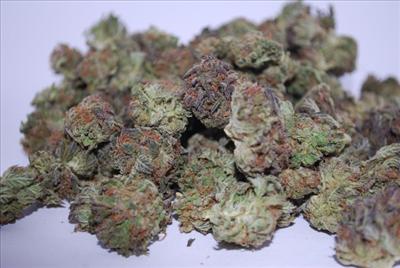 purple kush
