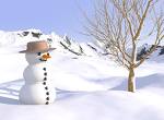 SnowMan