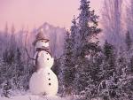 SnowMan