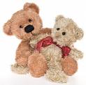 Teddy