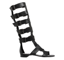 Gladiator