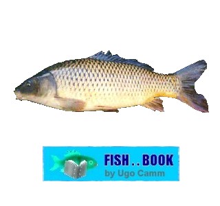CARP