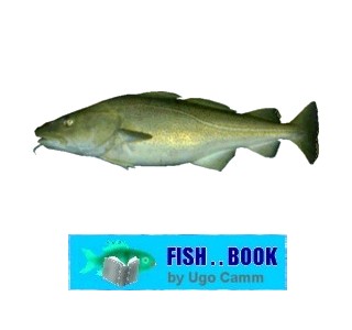 COD