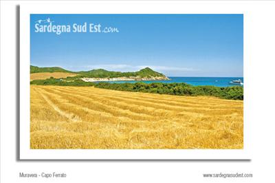 Cartolina