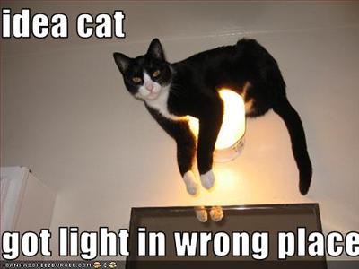 LOLcat2