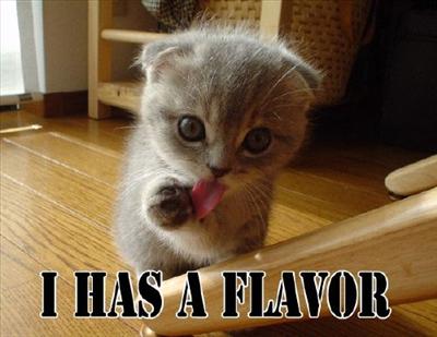 LOLcat