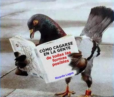 Como cagarse en la gente de todas las formas posibles