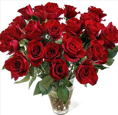 Bunch of roses