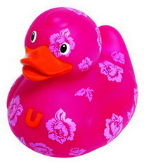 rose duck