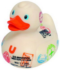 international duck