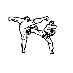 Kick