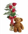 teddy bears