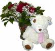 teddy bears