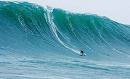 JAWS