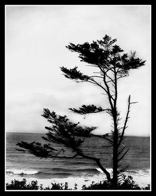 Existence Precedes Essence