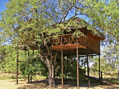 Tree Home
