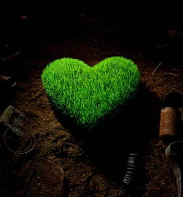 heart
