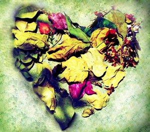 heart
