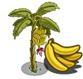 bananen boom