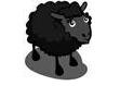 zwart schaap