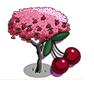 kerse boom