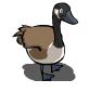 bruine gans