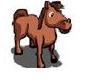 paard