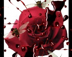 flower blood