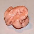 Lump Of Chewing Gum