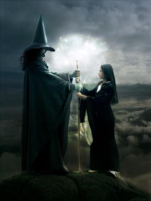 The Apprentice