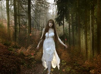 I Will Follow