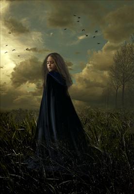 The Blackbird Sings