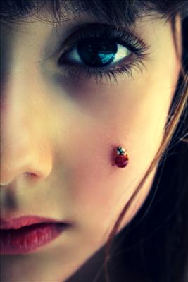 The Ladybug Children