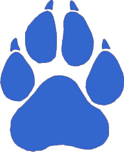 Blue Paw