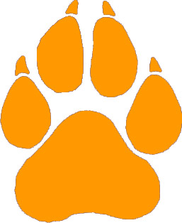 Orange Paw