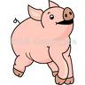 Pig